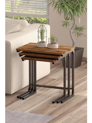 3lü Zigon Sehpa Metal Zigon Sehpa C Sehpa