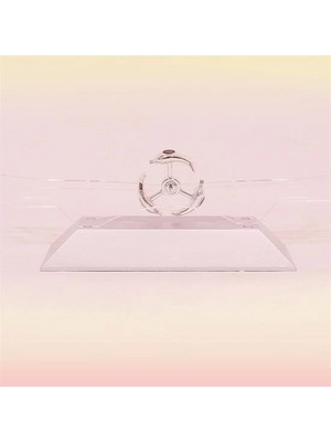 Bfs  Dekoratif Masa Üstü Obje Manyetik Kinetik Orbital Dönen Yunuslar