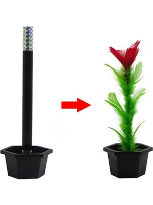 Bfs   Çiçek Çıkaran Sihirli Çubuk Sihirli Çiçek Sihirbazlık Oyunu