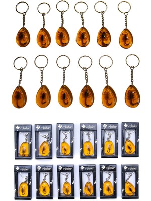 Gerçek Akrep Fosilli 12’li Set Anahtarlık Doğal Reçine Şeffaf Araba Çanta Süsü Dekoru Koleksiyonluk Hediyelik Takım