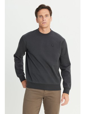 Regular Fit Normal Kesim Bisiklet Yaka Antrasit Sweatshirt