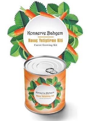 Konserve Bahçem Evde Konservede Havuç Yetiştirme Büyütme Kiti