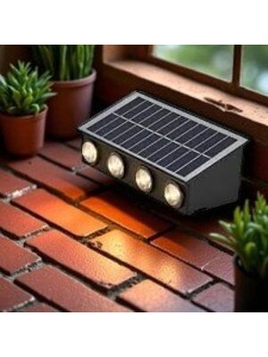 Cata 20W Kos Solar LED Aplik (Dış Mekan)(Günışığı) CT-8010G