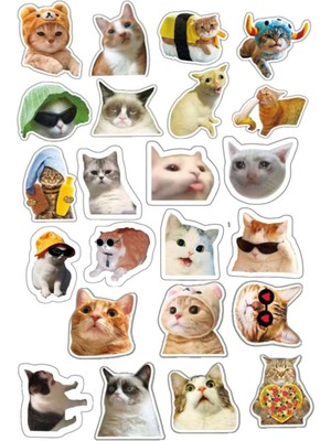 Kediler Sticker Telefon Laptop Notebook Tablet Defter Matara Stiker Etiket ST899