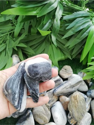 Siyah Beyaz Çizgili Dolomit Taş 5 Kg, Bahçe Süs ve Dekoratif Taşı, 3-6 cm