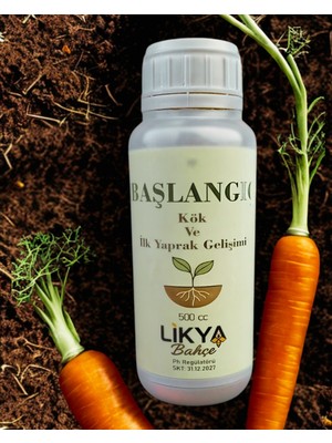 Başlangıç Sebze ve Meyve Bitki Besini