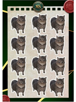 Oiiai-U I I A I- Uiiai Kedi 12 Adet Sticker Paketi Telefon Laptop Tablet Kask Bullet Journal Sticker