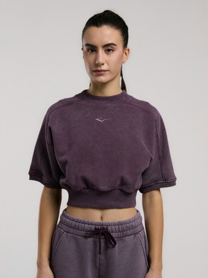 Everlast Bronx 1910 Kadın Kısa Kollu Mor Oversize Crop Sweatshirt Düz Desenli Rahat Kesim