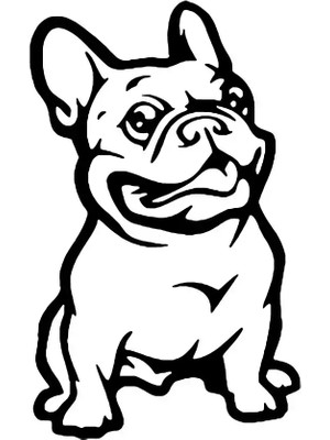 Sevimli Bulldog Oto Özel Yeni Sticker Siyah 20 x 32 cm