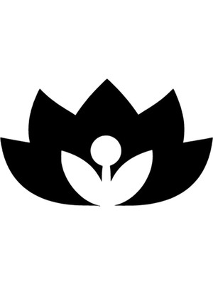 Orkide Çiçeği Oto Özel Yeni Sticker Siyah 30 x 18 cm