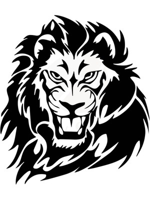 Aslan Tasarımlı Oto Özel Yeni Sticker 30 x 33 cm