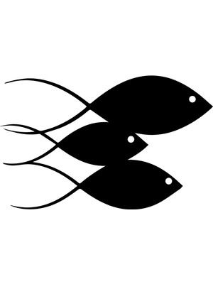 Balık Ailesi Oto Özel Yeni Sticker 30 x 18 cm