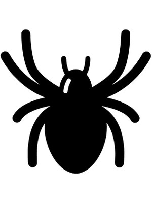 Sevimli Örümcek Oto Özel Yeni Sticker Siyah 30 x 30 cm