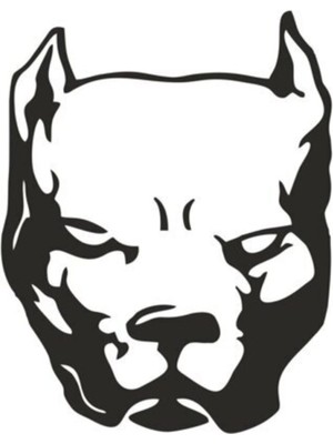 Pitbull Oto Özel Yeni Sticker 25 x 30 cm