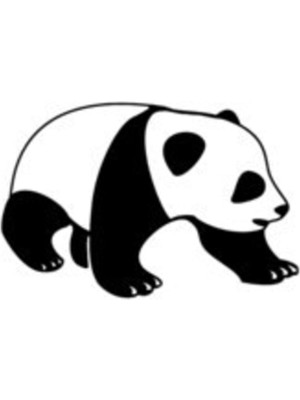 Ayı Oto Özel Yeni Sticker 25 x 15 cm