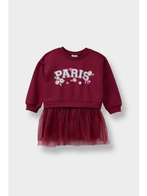 DeFacto Baskılı Okul Uzun Kollu Tül Elbise Kız Bebek F3774A525AU