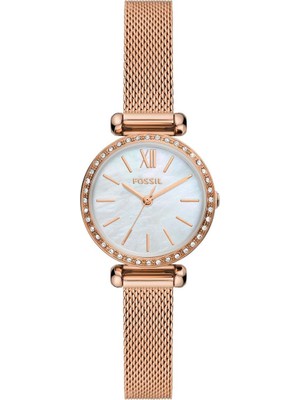 Fossil FBQ3897 Kadın Kol Saati