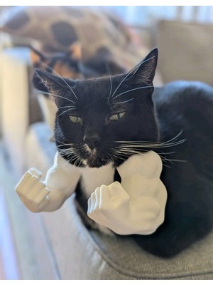 Kedi Için Hulk Kolları Aksesuarı Beyaz | Komik Kedi Aksesuarı | Eğlenceli Pet Ürünü Hediyelik