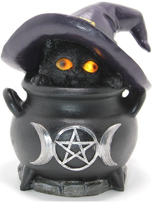 Polyester Kedi Ledli