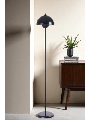 Fulya Siyah Lambader Rerto Başlıklı