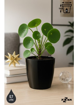 0,7 Litre 10cm Küçük Boy Tabaksız Drenaj Izgaralı Plastik Saksı Yakut No1