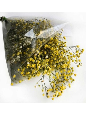 Doğal Çiçek Cipso Sarı 18X40 cm 50 Gram, Dekoratif ve Zarif Tasarım
