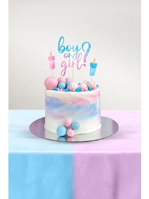Cinsiyet Partisi Temalı Boy Or Girl 3'lü Pasta Süsü