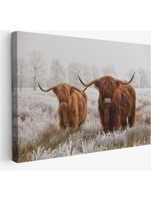 SONIKON LINE Iskoçya Sığırları, Hayvan Temalı Dekoratif Kanvas Tablo, Duvar Dekoru 1150