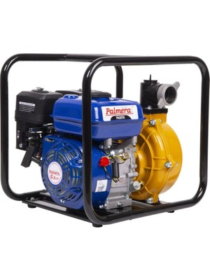 Su Motoru Palmera 2" PA20TH