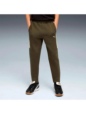 Evostrıpe Pants Dk