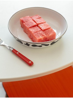 Mötilda Emaye Bowl Tabağı - Bowl Kase - Salata Kasesi - Sunum Kasesi 21CM