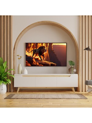 Hayvan Figürlü Av Mevsimi  Dağlar Iı Aslanlı Pvc 60X90 cm Çerçevesiz Tablo 23