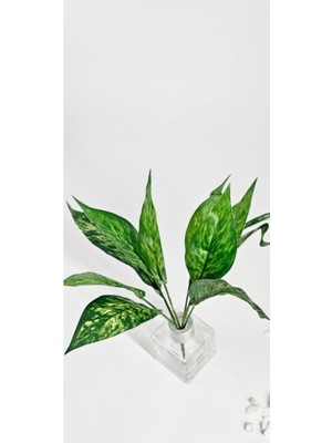 Yeşil Kılıç Çiçeği 27 cm Ev Dekor Vazo Süsü