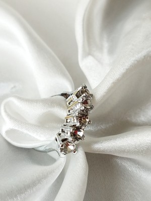 Ladybirdbujiteri Orta Zirkon Taşlı  Çelik Beştaş Yüzük