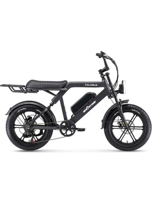Ape Ryder Colobus Premıum Elektrikli Bisiklet - 750W