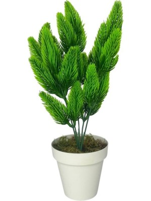 Yapay Çiçek Krem Saksıda Yeşil Kozalaklı Çam Demeti