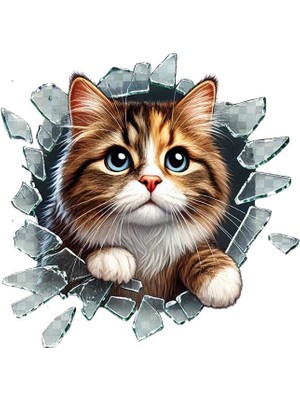 Ttt Fulcar Stray Araç Stickerı