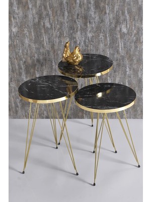 Zigon Sehpa Gold Bendir Tel