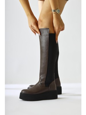 Ceres Kahve Platform Çizme