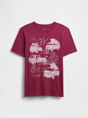 Gap Erkek Çocuk Bordo Grafik Baskılı T-Shirt