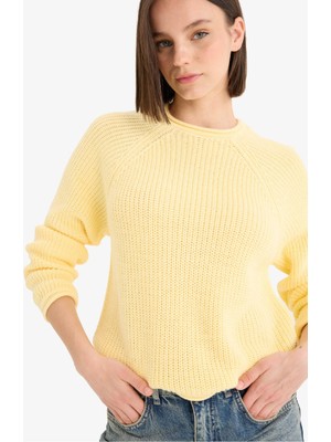 DeFacto Regular Fit Bisiklet Yaka Triko Kazak L2567AZ25WN