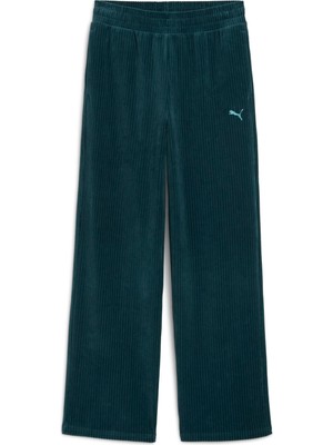 Puma Ess Elevated Velour Pant Kadın Yetişkin Eşofman Altı