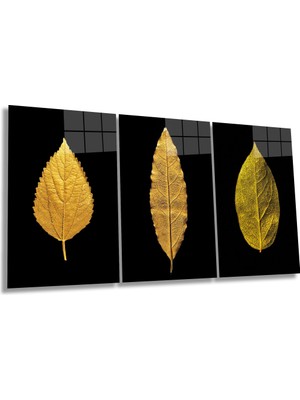Siyah Fon Gold Altın Yapraklar 3 Parça Set Cam Tablo, Ev ve Ofis Duvar Dekoru, Lüks Hediyelik