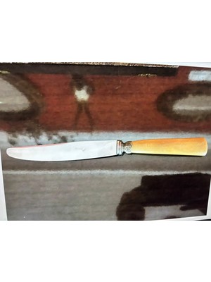 Fransız Guyonneau Chatellerault Gümüş Kaplama Boynuz Saplı Bıçak Takımı