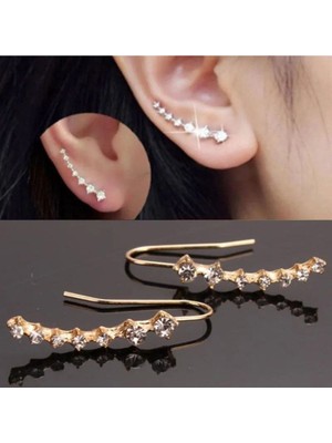 Şık ve Zarif Taşlı Küpe ile Her Ortamda Göz Doldurun