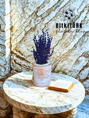 Bitkitürk-📘 Beton Kitap Biblo – Mumyalanmış Lavanta ile Özgün Tasarım
(Çap: 15 cm | Yükseklik: 30