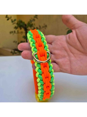 77Bunny Tasma Köpek tasması Köpek boyun tasması Büyük ırk köpek tasması