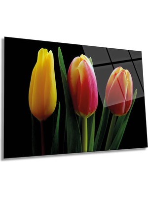 Kırmızı Sarı Laleler Yatay Cam Tablo, Doğa, Ev ve Ofis Duvar Dekoru, Lüks Hediyelik