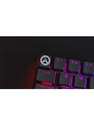 Pureysma Overwatch Temalı Keycap (2'li Set) | Gri-Siyah Renk | Mekanik Klavyelere Özel Tuş Başlığı Seti