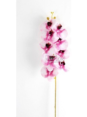 Yapay Dal Baskılı Orkide Çiçeği 88 cm Pudra Fuşya Benekli